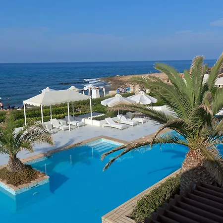 Nana Royal Premium &