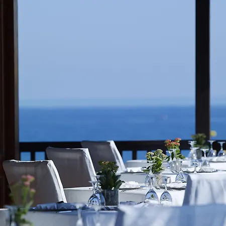 Nana Royal Premium &